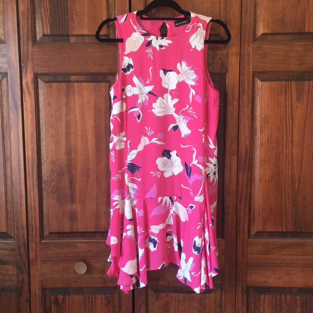 Belle Vere Dress size 6